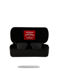 AMERICAN AIRLINES MAXIMUM ALTITUDE AVIATOR CASE